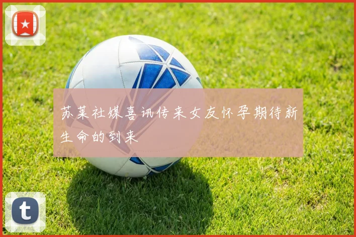 苏莱社媒喜讯传来女友怀孕期待新生命的到来
